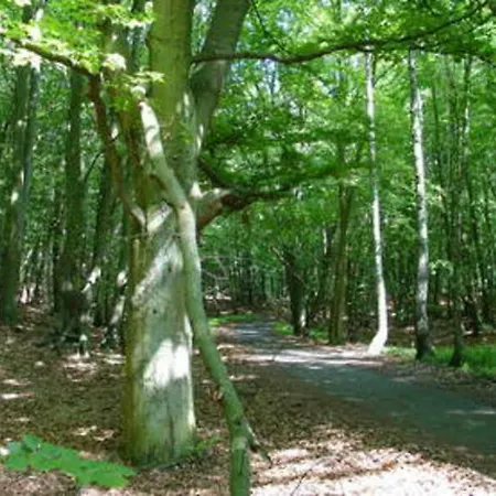 Διαμέρισμα 11 Schekahn Am Achterwasser - Cc *